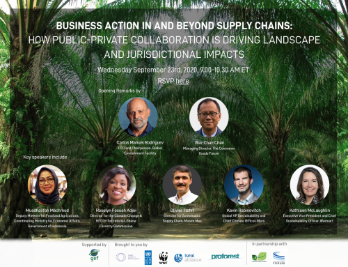Virtual Conversation: Business Action In and Beyond Supply Chains