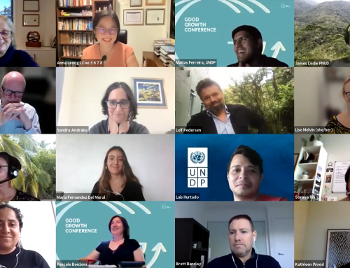 Good Growth Conference 2021: Moving from defense to offense in changing systems for sustainable commodity supply chains